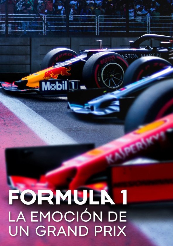 Fórmula 1: La emoción de un Grand Prix - Temporada 8