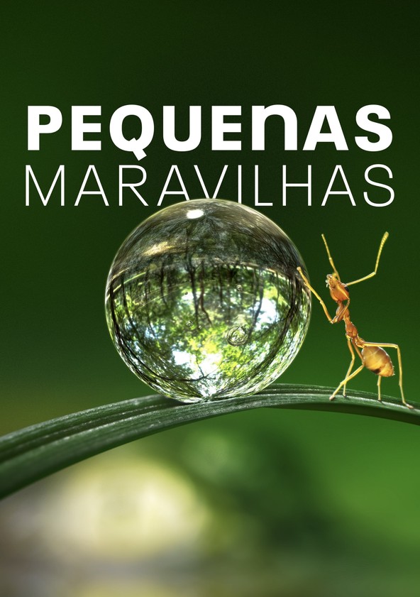 Pequenas maravilhas - Temporada 1