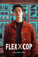 Flex X Cop - Temporada 1