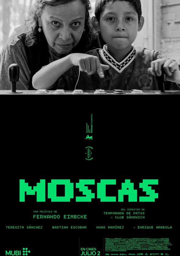 Moscas