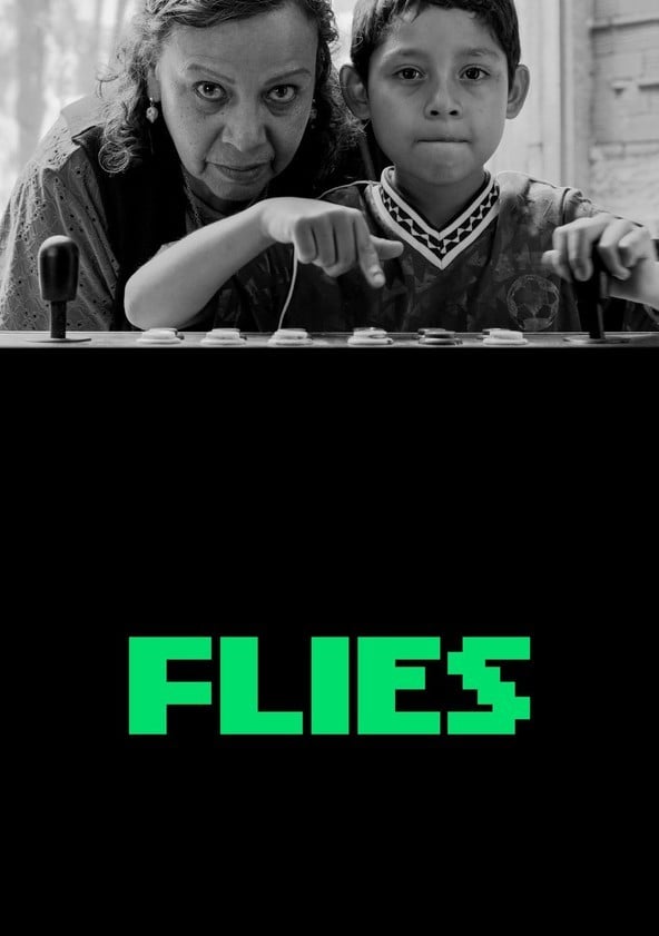Flies