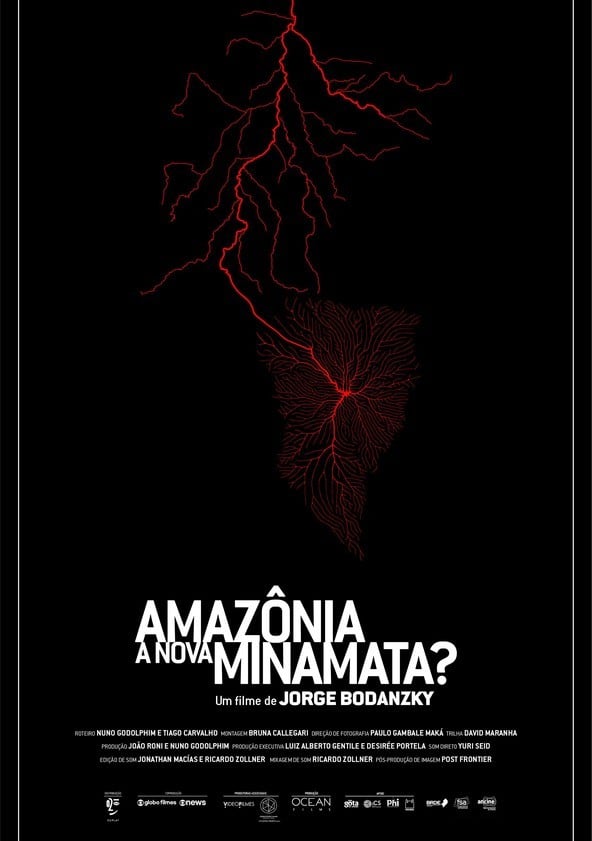 Amazônia, a nova Minamata?