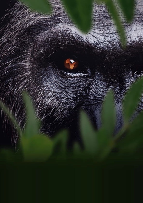 Africa Earth's Wild Home - Temporada 1