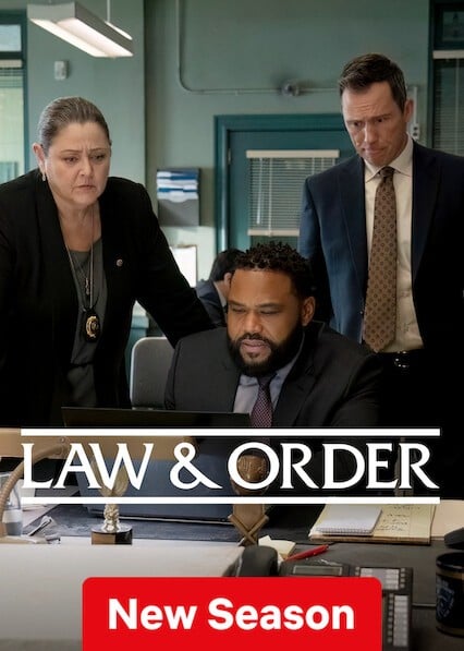 Law & Order - Temporada 25