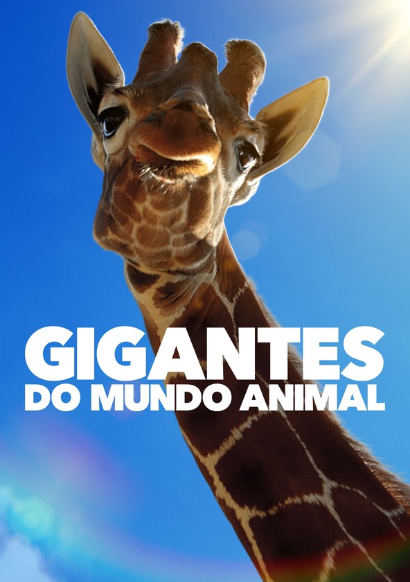 Grandes Animais - Temporada 1