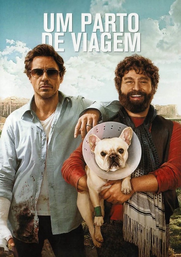 Um Parto de Viagem