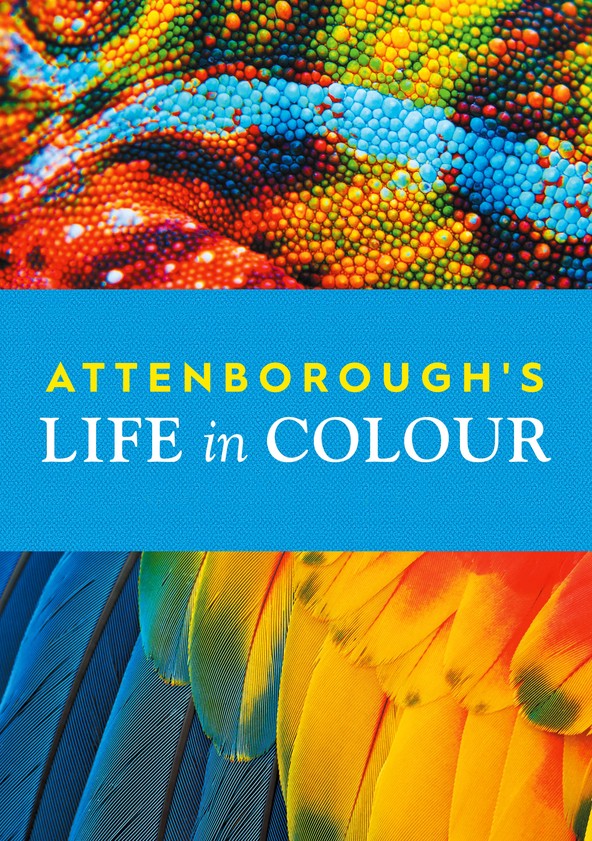 A Vida em Cores com David Attenborough - Temporada 1