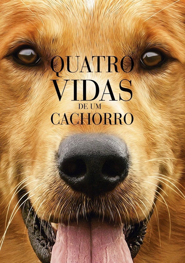 Quatro Vidas de um Cachorro