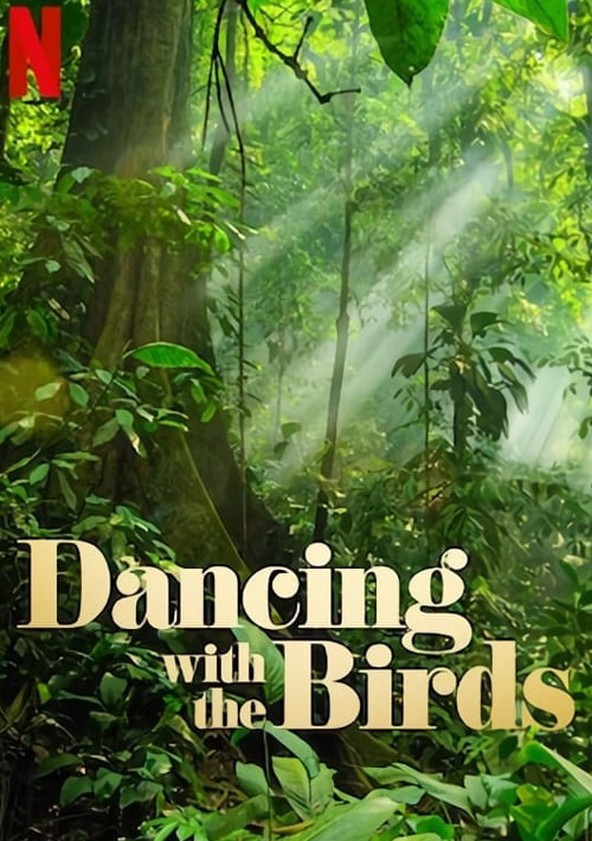 Dança dos Pássaros