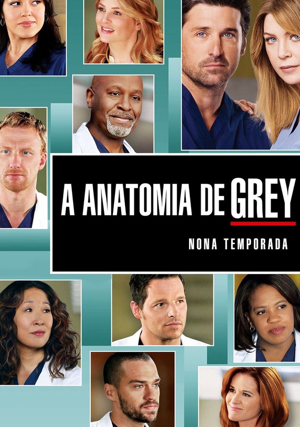 A Anatomia da Grey - Temporada 9