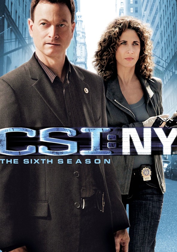 CSI: Nova Iorque - Temporada 6