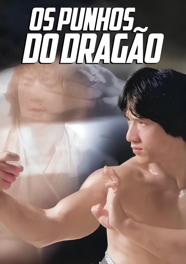 Os Punhos do Dragão