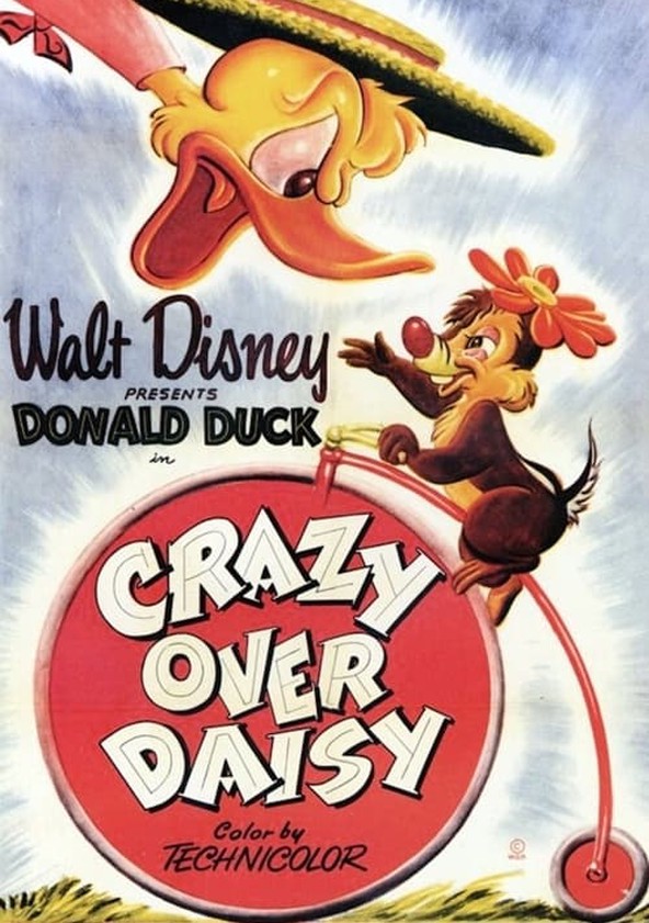 Crazy Over Daisy