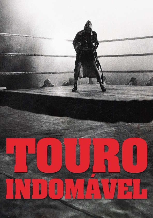 Touro Indomável