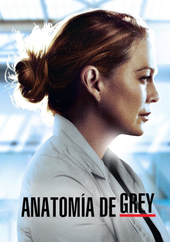 Grey's Anatomy - Temporada 22