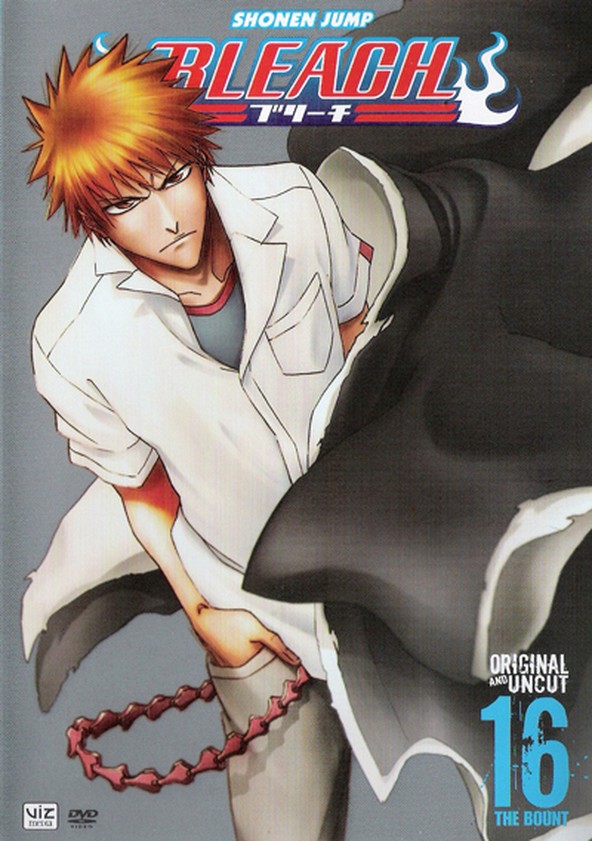 Bleach - Temporada 16