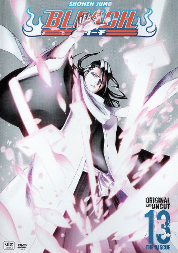 Bleach - Temporada 13