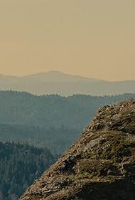 Sasquatch Sunset