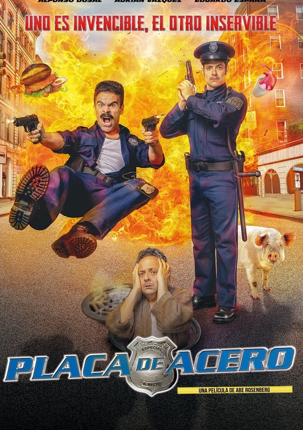 Placa de Acero
