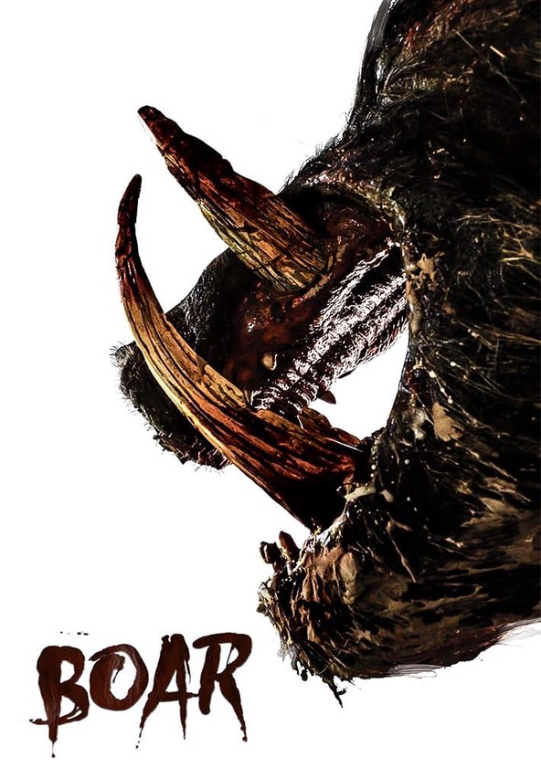 Boar