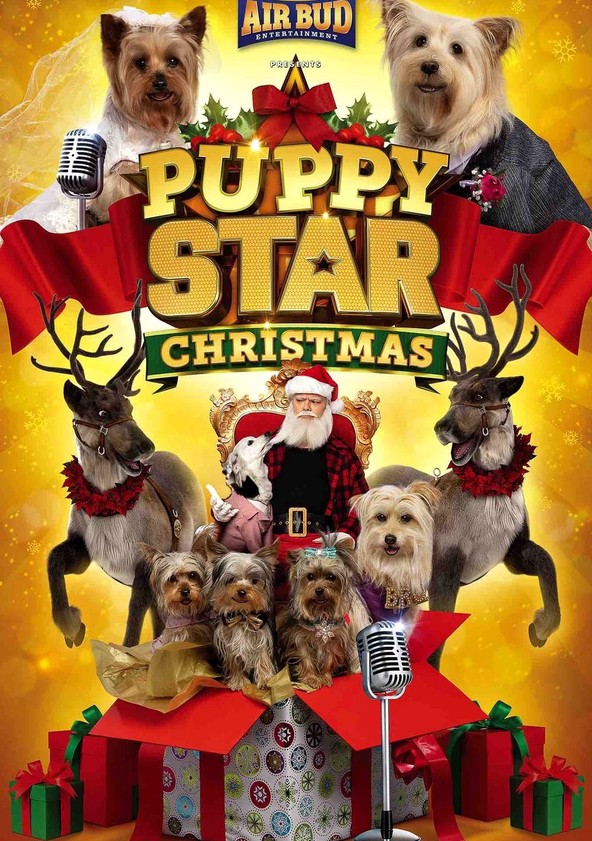Puppy Star Christmas