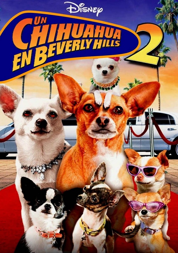 Un chihuahua en Beverly Hills 2