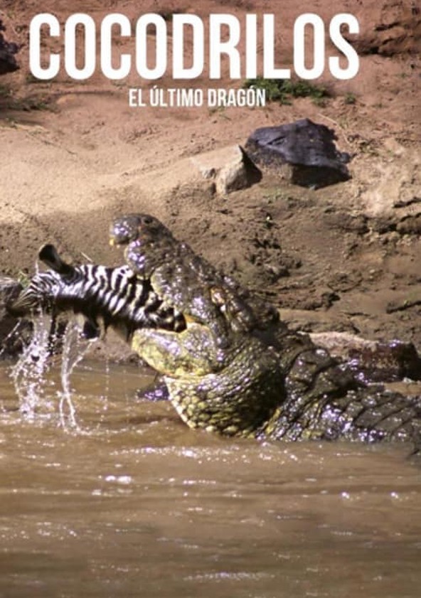 Cocodrilos, el último dragón