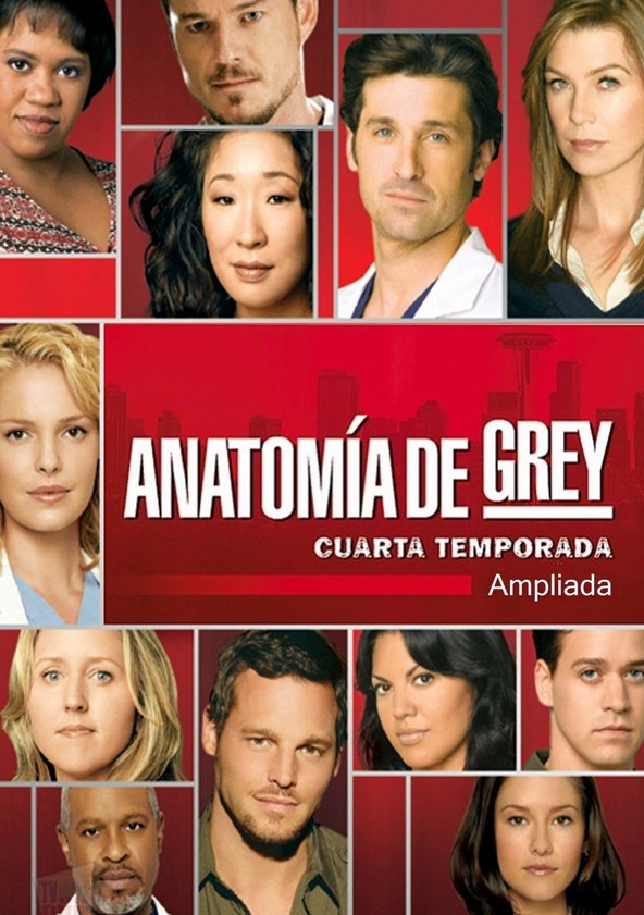 Grey's Anatomy - Temporada 4