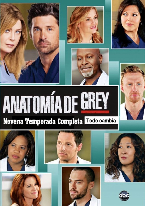 Grey's Anatomy - Temporada 9