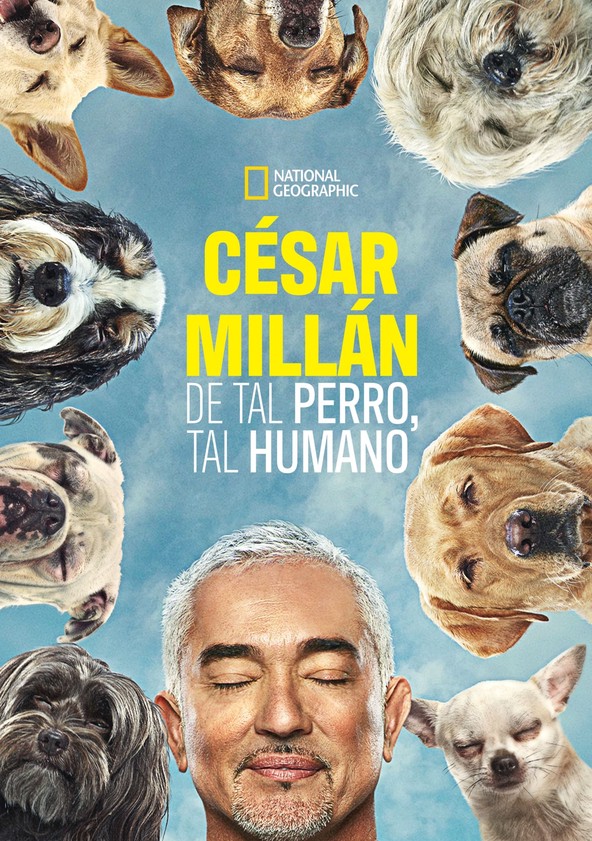 Cesar Millan: Better Human Better Dog - Temporada 1