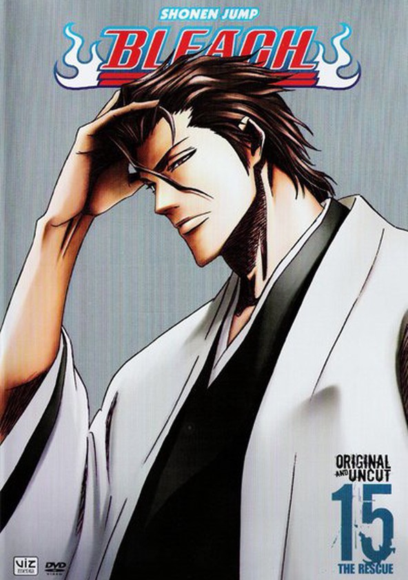 Bleach - Temporada 15