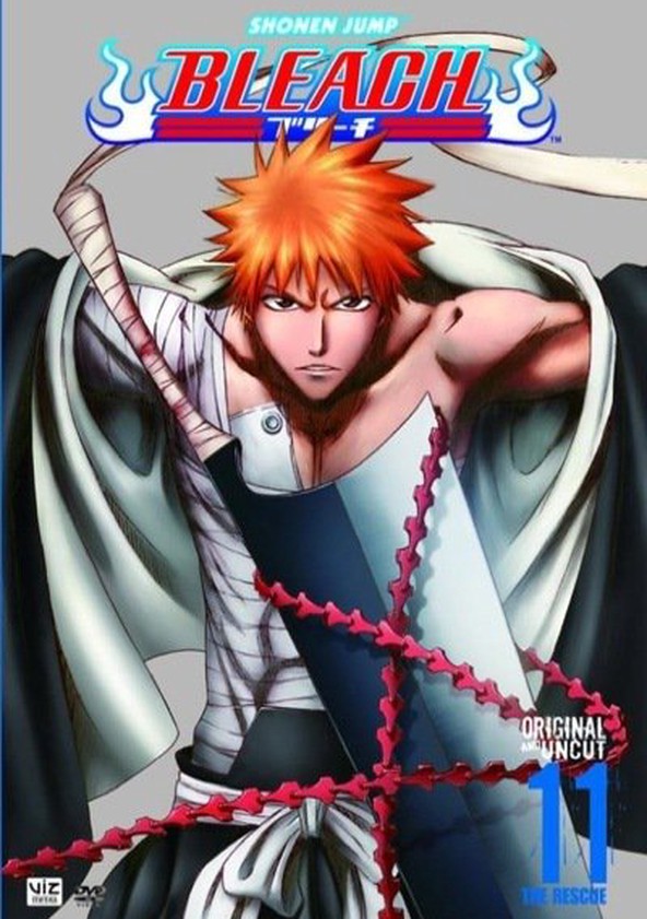 Bleach - Temporada 11